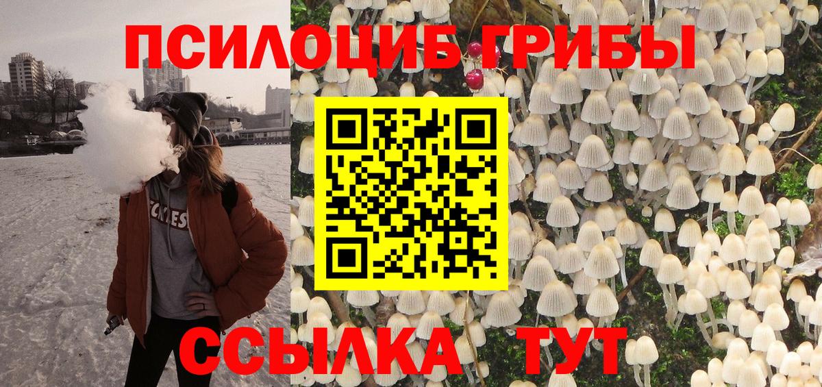 Псилоцибиновые грибы мицелий  закладка  Кимры  Псилоцибиновые грибы Psilocybine cubensis  Вход с VPN 